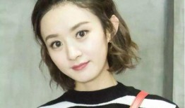 赵丽颖最新更新爆料,揭秘她的最新生活与事业进展