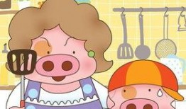 日常爆料小猪先生视频,趣味视频背后的生活点滴