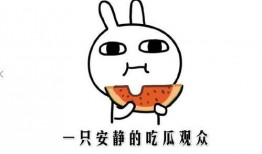 抖音瓜免费吃,揭秘网红美食背后的秘密