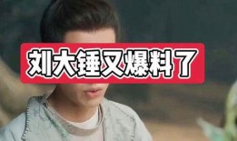 刘大锤爆料最新视频全集,精彩瞬间一网打尽